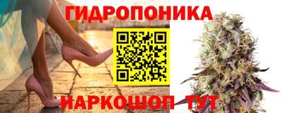 прущие грибы Жуковский