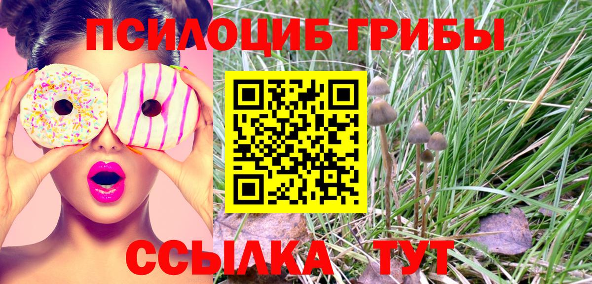 Галлюциногенные грибы прущие грибы  Вход с VPN  Лысьва 